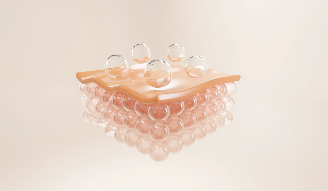 The science of skin barrier support