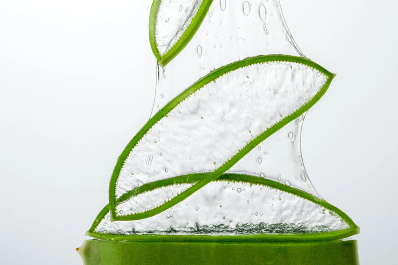 Aloe Barbadensis Leaf Juice