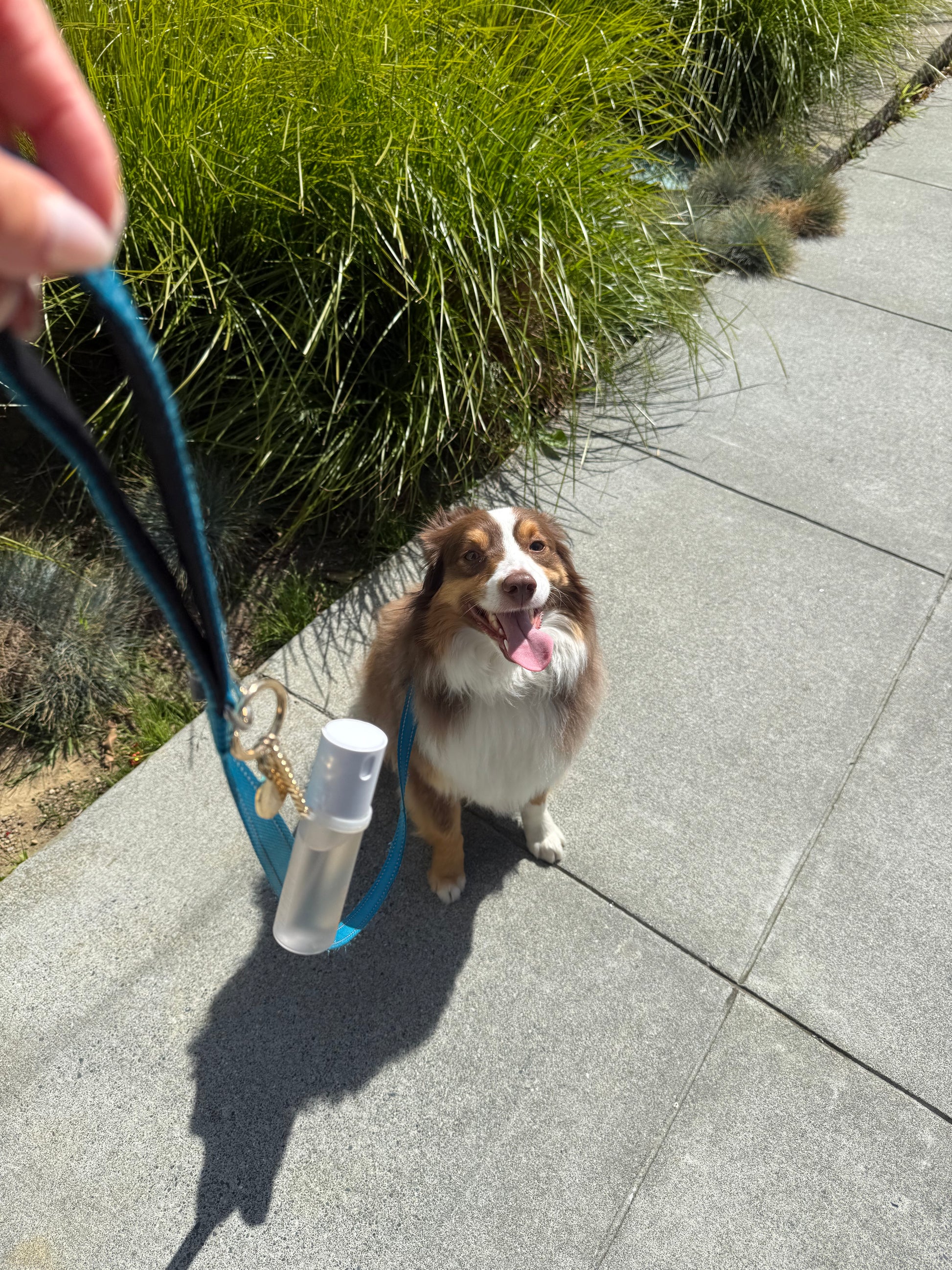 Key Ring
